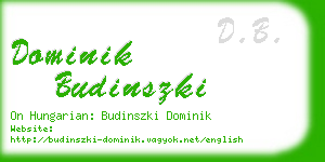 dominik budinszki business card